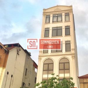 Toà nhà 108 Trần Vỹ