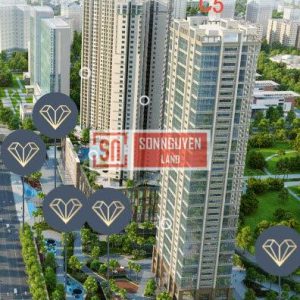 Toà nhà D’Capitale Trần Duy Hưng