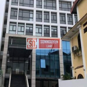Toà nhà 176 Trường Chinh Building
