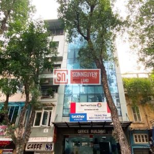 Toà nhà 85 Nguyễn Du