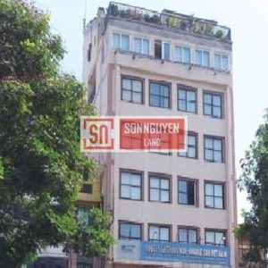 Toà nhà Việt Hồng Building